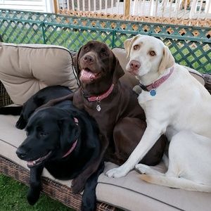 Meet your Posher, Stacey